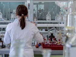 Why a global city is so vulnerable to virus spread