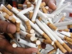Bea Cukai Madura Musnahkan Jutaan Rokok Ilegal