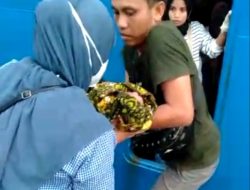 Evakuasi Seorang Ibu Melahirkan Bayi Kembar di Atas Kapal, Berlangsung Dramatis