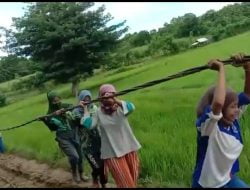 Demi Mendapatkan Listrik, Emak-Emak di Kepulauan Gotong Royong Angkut Kabel Lewati Jalan Berlumpur