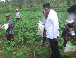 Ramadan, Bupati Sumenep Bagikan Beras pada Petani di Sawah