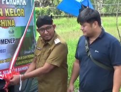 Kualitas Bagus Daun Kelor Sumenep Go International, 300 Ton Diekspor ke China