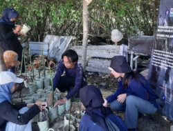 ‘Pokmaswas Reng Paseser’ dan Mahasiswa FPIK IPB University Kampanyekan Konservasi Mangrove