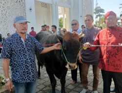 Yayasan Fathimah Binti Said Gauzan dan DPC PDIP Bersama MH Said Abdullah Salurkan 98 Hewan Kurban