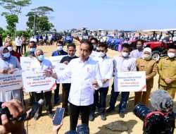Presiden Jokowi Luncurkan Lumbung Pangan Berbasis Mangga dan Taksi Alsintan
