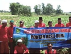 DKPP Sumenep Gelar Sekolah Lapang Tembakau di Pasongsongan