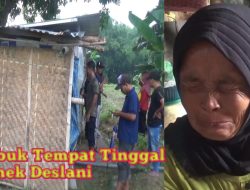 Kisah Pilu, Seorang Nenek Hidup Sendiri di Bawah Gubuk Reyot di Tengah Sawah