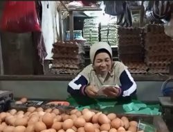 Jelang Nataru, Harga Telur Mahal Capai Rp30.000 Per Kilogram