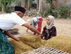Maraknya Usaha Rokok Ilegal di Pamekasan Menuai Sorotan