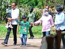 Kunjungi Solo Safari, Presiden Jokowi Tinjau Progres Revitalisasi
