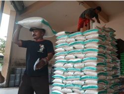 Warga Resah, Kenaikan Beras Diperkirakan Bertahan Hingga Bulan Ramadan