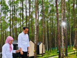Hari Ketiga di Kaltim, Presiden Awali Hari Nikmati Suasana Pagi di IKN