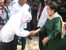 Keberadaan Hutan Mangrove, Dukung Pelestarian Alam dan Signifikan Turunkan Emisi Karbon