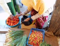 Pedagang Cabai Rawit Menjerit imbas Harga Naik
