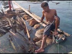 Diduga Kelebihan Muatan, KM Labobar Tenggelam Puluhan Sapi Mati dan Satu Penumpang Meninggal