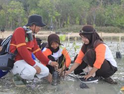 Liburan Tahun Baru, Santri Pramuka Ponpes Al-Arief Pulau Giliraja Bersama FK3I Tanam Ratusan Bibit Mangrove dan Cemara Udang