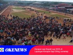 Kerapan Sapi Bupati Cup di Sumenep Makan Korban