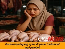 Harga Ayam Meroket, Regulasi 18 Ribu dari Pemerintah Hanya Jadi Ilusi