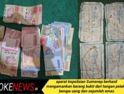Beraksi di Tiga TKP, Pemuda di Guluk-guluk Sumenep Berhasil Gasak Ratusan Juta Rupiah