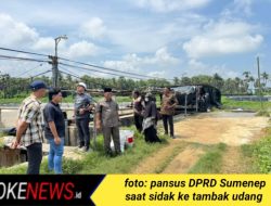 Kerusakan Ekosistem di Sumenep Disebabkan Tata Kelola Tambak Udang, DPRD: Siap Panggil Semua yang Terlibat