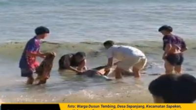 Geger!, Warga Sumenep Temukan Mayat Pria di Pesisir Pantai Sepanjang Sapeken