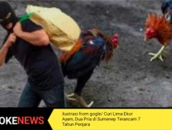 Curi Lima Ekor Ayam, Dua Pria di Sumenep Terancam 7 Tahun Penjara