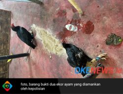 Diduga Curi Dua Ekor Ayam, Tiga Anak di Bluto Sumenep Terancam 7 Tahun Penjara